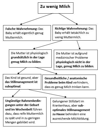 Diagramm mit den Ursachen für zu wenig Milch.